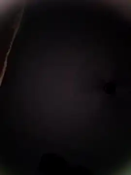 Pitercom online show from October 2025 09:04:02 PM