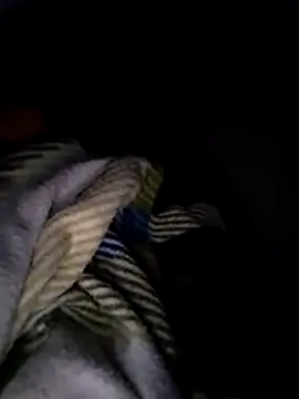 Pitercom online show from February 2026 04:03:02 PM