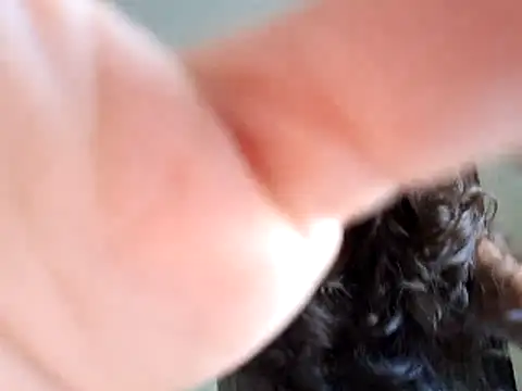 Abysparadise online show from November 2025 05:46:02 PM