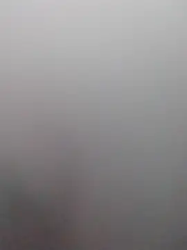 Yankeedave420 online show from October 2025 04:58:01 PM