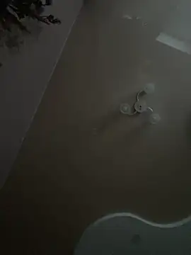 Flossy Vettie online show from March 2026 03:59:01 PM