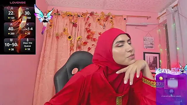 Snapshot of DarshaKhemu chatting on February 2025 08:30:02 PM DarshaKhemu online show from February 2025 08:30:02 PM