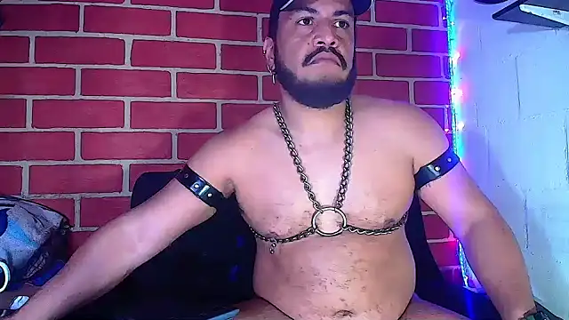 the master foal  online show from January 2025 05:26:02 AM