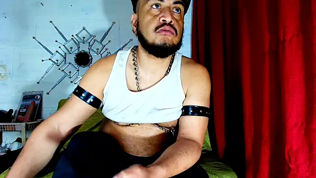 the master foal  online show from November 2025 11:02:01 AM