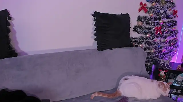 pamela doll3 online show from December 2025 03:35:02 AM