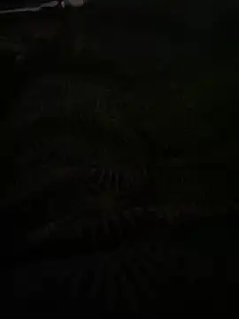 Snapshot of bomakrn chatting on November 2025 10:38:02 AM bomakrn online show from November 2025 10:38:02 AM