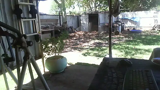 herbie010666 online show from December 2025 03:56:01 AM