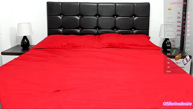 Snapshot of karinamadnessdesiree chatting on January 2025 01:11:02 PM karinamadnessdesiree online show from January 2025 01:11:02 PM