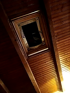 CurlyElisa online show from February 2026 09:36:02 PM