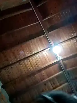 Snapshot of Bigassmommy_x chatting on November 2025 01:56:02 PM Bigassmommy x online show from November 2025 01:56:02 PM