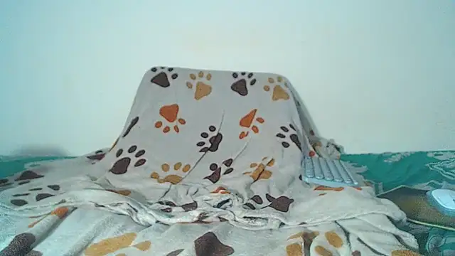 maihton xx online show from February 2026 06:40:02 AM