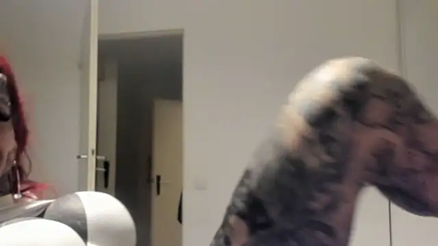 Snapshot of tamarapervert chatting on March 2026 11:22:01 PM tamarapervert online show from March 2026 11:22:01 PM