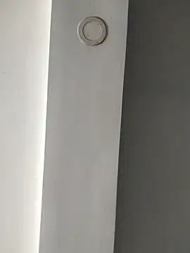 Snapshot of ElsecretodeBruno chatting on February 2025 06:15:02 PM ElsecretodeBruno online show from February 2025 06:15:02 PM