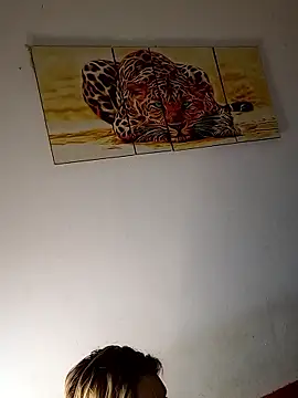 Snapshot of shaynarg chatting on March 2026 08:29:01 AM shaynarg online show from March 2026 08:29:01 AM