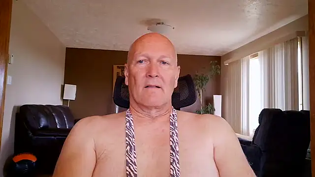 BasicAnt online show from June 2026 02:33:01 PM