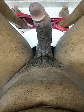 blackjack- online show from October 2025 08:59:02 AM