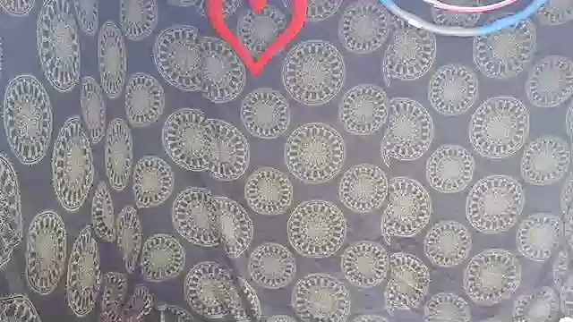 Snapshot of LunaRai chatting on February 2026 03:11:02 AM LunaRai online show from February 2026 03:11:02 AM