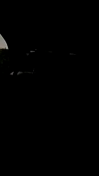 Roberts8inchcock online show from December 2025 12:10:01 PM