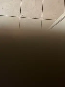 Snapshot of dingoding chatting on January 2025 03:39:02 AM dingoding online show from January 2025 03:39:02 AM