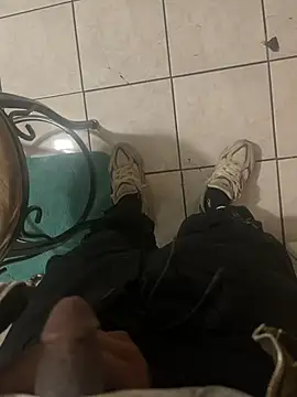 Snapshot of dingoding chatting on January 2025 06:28:02 AM dingoding online show from January 2025 06:28:02 AM