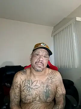 Snapshot of yellowwetfox chatting on February 2026 02:22:02 PM yellowwetfox online show from February 2026 02:22:02 PM