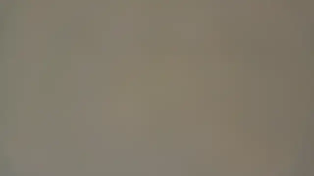 Eva Rodriguez  online show from April 2026 04:09:02 AM