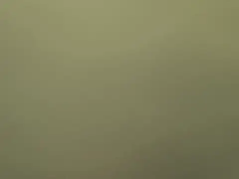 Snapshot of Alexiadreamer chatting on October 2025 04:20:02 PM Alexiadreamer online show from October 2025 04:20:02 PM