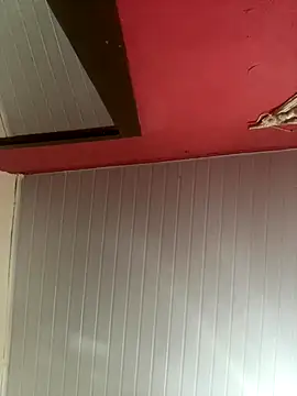 pimenta gaby online show from November 2025 12:20:01 PM