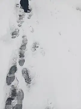 Saysomething3 online show from January 2026 07:57:02 AM