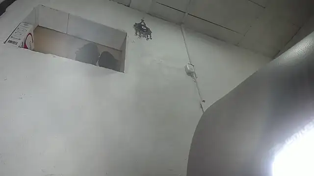 nattashafoxx online show from October 2025 10:40:01 PM