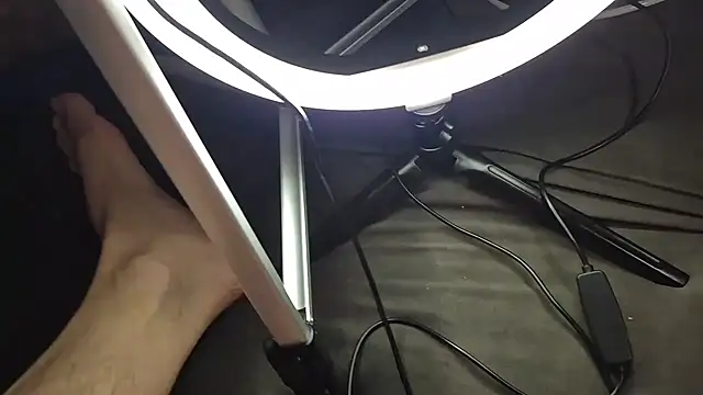 Majestic-Class online show from February 2026 08:57:02 AM