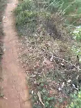 Snapshot of Gopal1243 chatting on January 2025 02:27:02 AM Gopal1243 online show from January 2025 02:27:02 AM