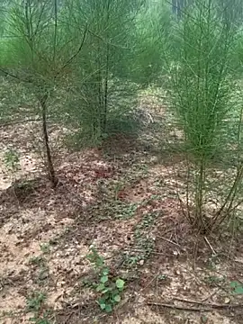 Snapshot of Gopal1243 chatting on November 2025 02:11:01 AM Gopal1243 online show from November 2025 02:11:01 AM