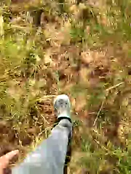 Snapshot of Gopal1243 chatting on January 2026 07:55:01 AM Gopal1243 online show from January 2026 07:55:01 AM