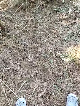 Snapshot of Gopal1243 chatting on January 2026 07:55:01 AM Gopal1243 online show from January 2026 07:55:01 AM