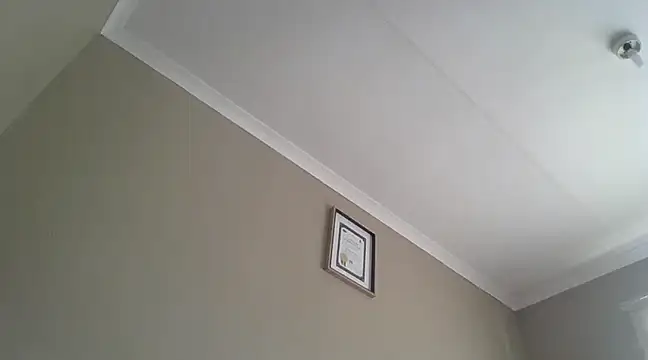 EbonySeductressx online show from March 2025 10:43:02 AM