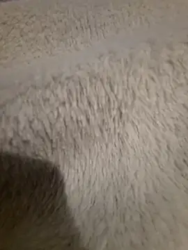 GeilerSchweizer online show from April 2026 08:00:02 PM