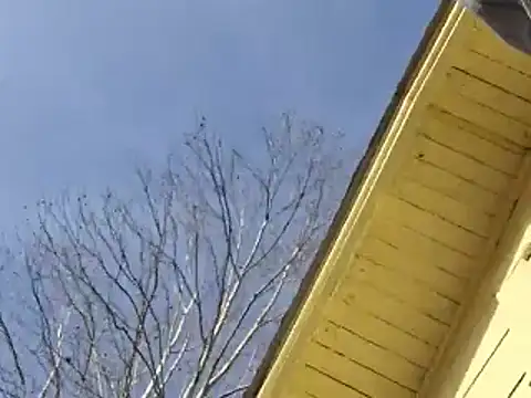 Snapshot of highstepper500 chatting on December 2024 02:12:01 AM highstepper500 online show from December 2024 02:12:01 AM