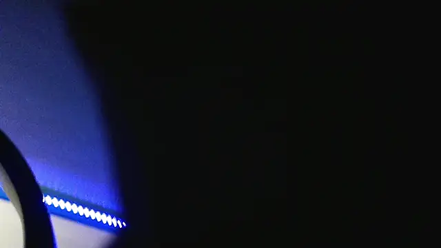 Snapshot of _prevision chatting on December 2024 11:53:01 PM prevision online show from December 2024 11:53:01 PM