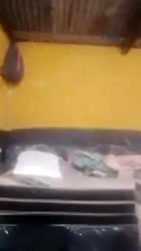 LULE37587001 online show from February 2026 04:54:02 AM