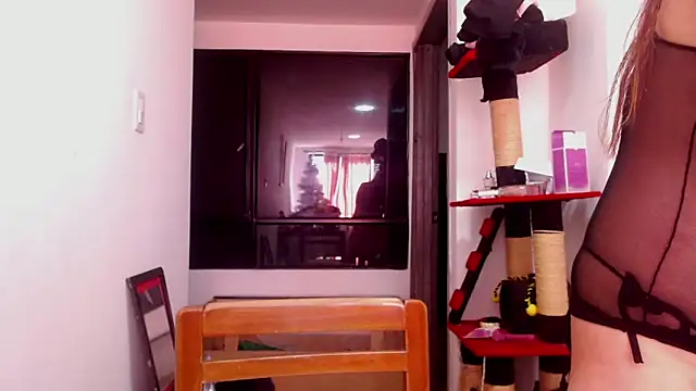 karinasodi 1 online show from December 2025 08:07:02 PM