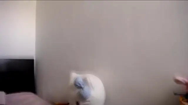 MARIANADIRTY online show from November 2025 02:17:01 PM