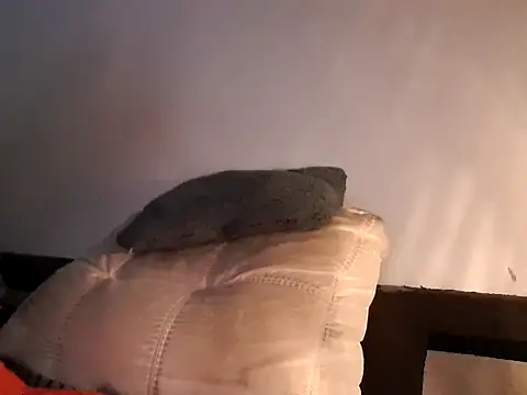 Snapshot of Lou666Cifer chatting on February 2026 11:44:02 PM Lou666Cifer online show from February 2026 11:44:02 PM