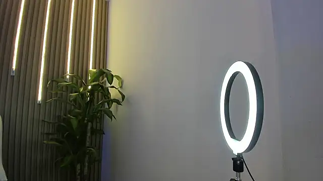 perla7777 online show from February 2026 01:59:02 AM