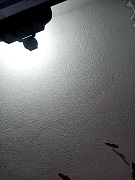 Deina bunny online show from February 2025 10:03:01 PM