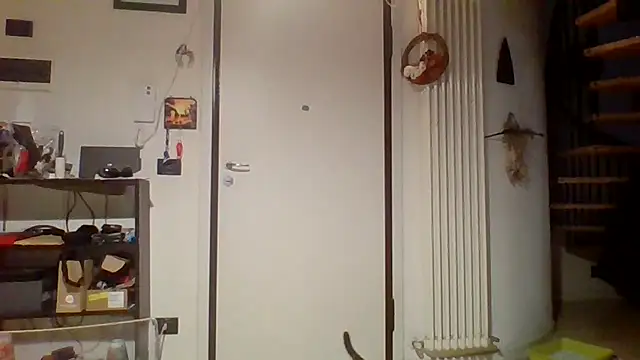 woww791 online show from March 2026 09:54:02 PM