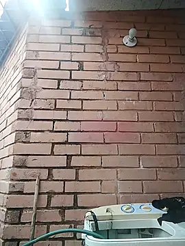 valeriaswang Lucas online show from December 2025 03:43:02 PM