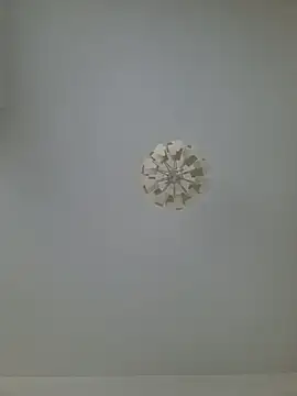 Snapshot of cuci45 chatting on February 2026 08:38:01 AM cuci45 online show from February 2026 08:38:01 AM