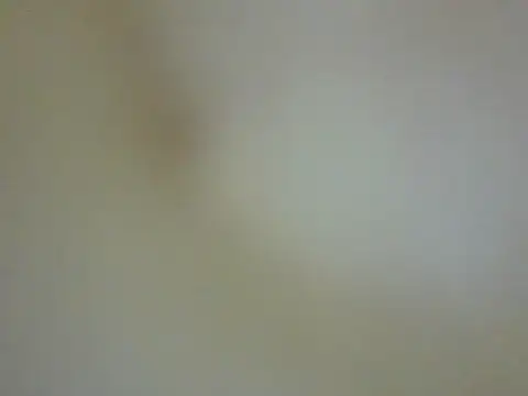 CaptainFox online show from May 2026 07:30:02 PM