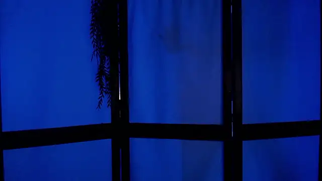 Snapshot of Wildorchid_ chatting on December 2024 04:53:01 AM Wildorchid online show from December 2024 04:53:01 AM